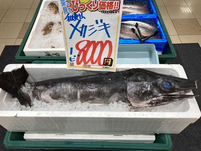 迫力のメカジキを驚きの価格で楽しませる