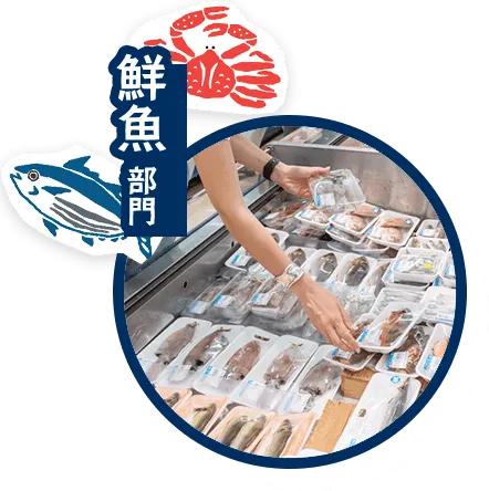 鮮魚部門_hover